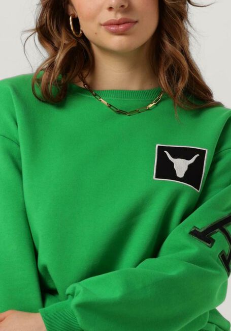Groene ALIX THE LABEL Sweater LADIES KNITTED PATCH SWEATER - large