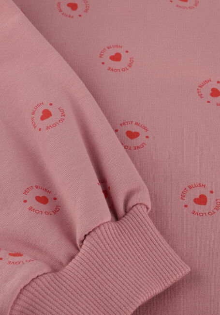Roze PETIT BLUSH Sweater EASY SWEATER LOVE TO LOVE - large