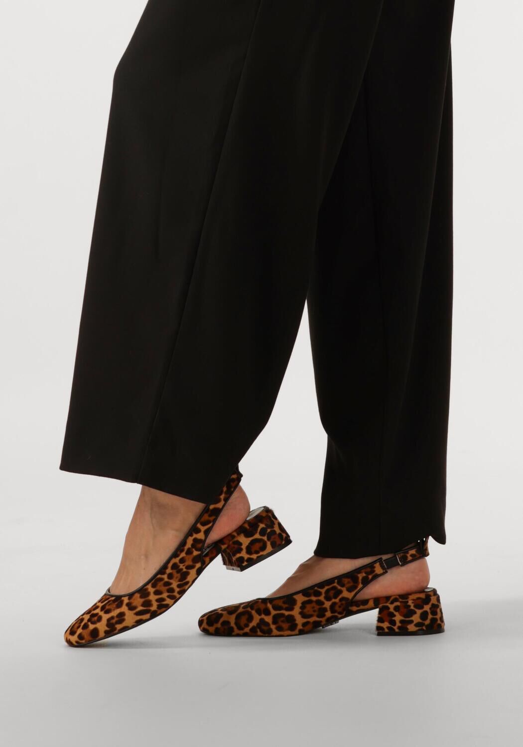 Bruine STEVE MADDEN Slingbacks SMITTEN-LP - large