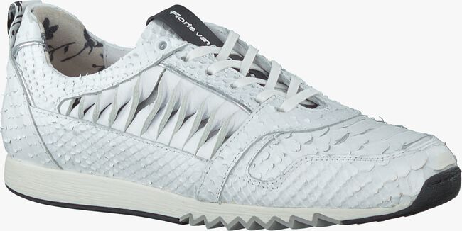Witte FLORIS VAN BOMMEL Sneakers 85130 - large