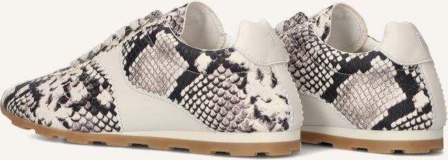 Beige TORAL Lage sneakers VINCI Beige TORAL Lage sneakers VINCI - large