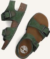 Groene TIMBERLAND Platte sandalen CASTLE ISLAND 2 STRAP Groene TIMBERLAND Platte sandalen CASTLE ISLAND 2 STRAP - medium