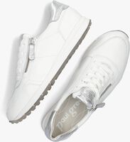 Witte PAUL GREEN Lage sneakers 4085 - medium