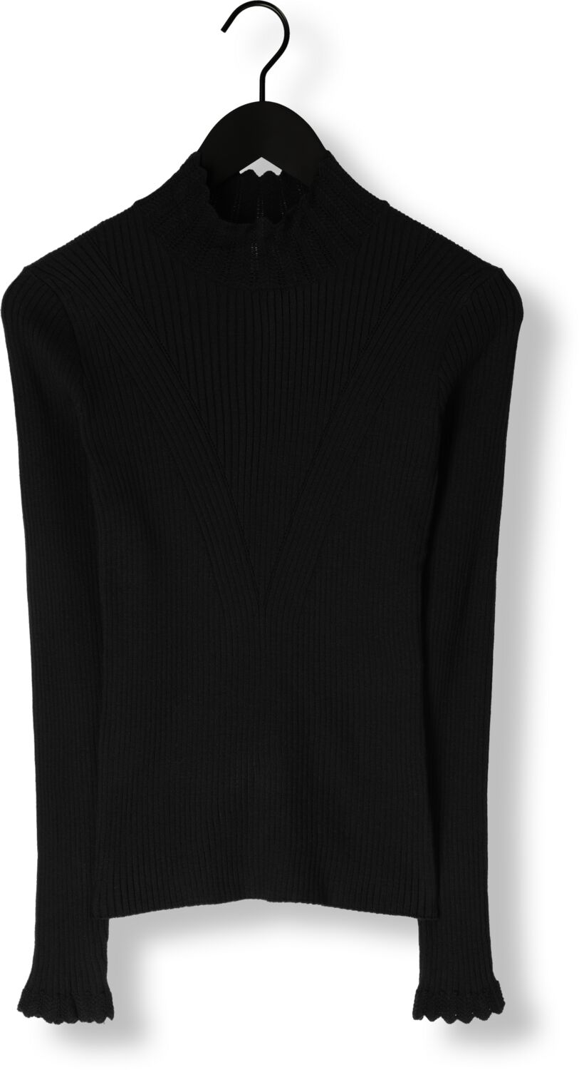 AAIKO Dames Tops & T-shirts Vida Ruffle Vis 301 Sweaters Zwart
