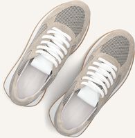 Beige KENNEL & SCHMENGER Lage sneakers 18240 Beige KENNEL & SCHMENGER Lage sneakers 18240 - medium