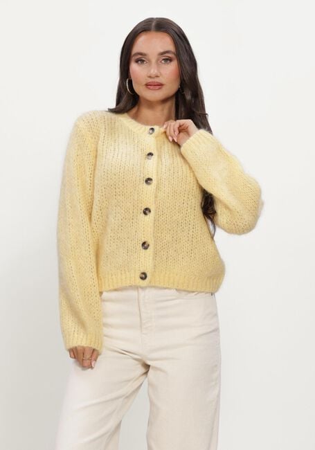 Gele INWEAR Trui JETRAIW CARDIGAN - large