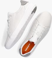 Witte TIMBERLAND SENECA BAY OXFORD Lage sneakers - medium