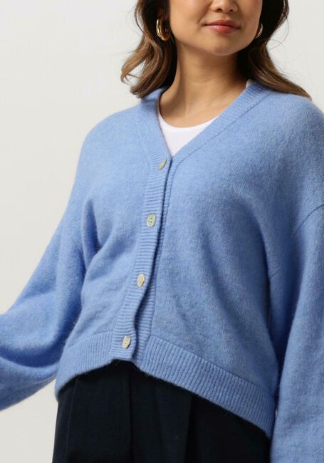 Blauwe MSCH COPENHAGEN Vest MSCHPETRINELLE HOPE CARDIGAN - large