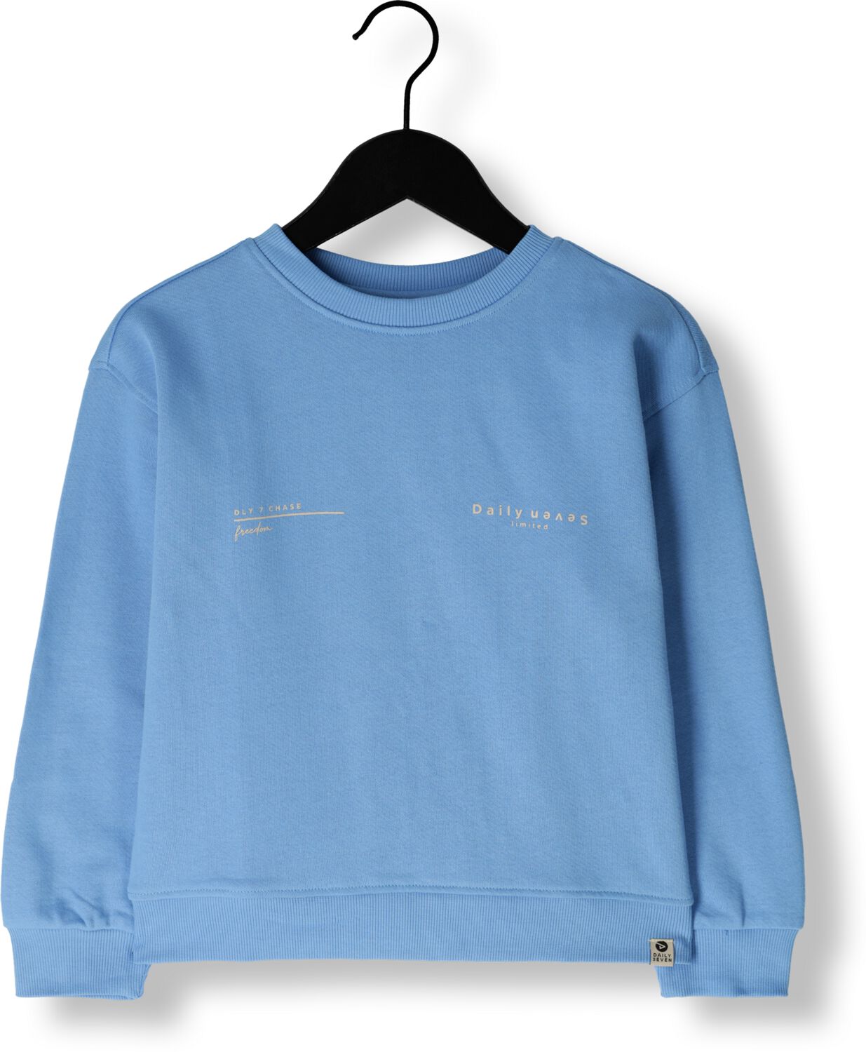 DAILY7 Truien & Vesten Sweater Oversized Dly7 Blauw
