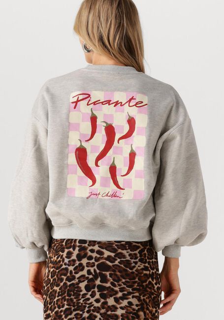 Grijze YDENCE Sweater SWEATER JUST CHILLIN - large
