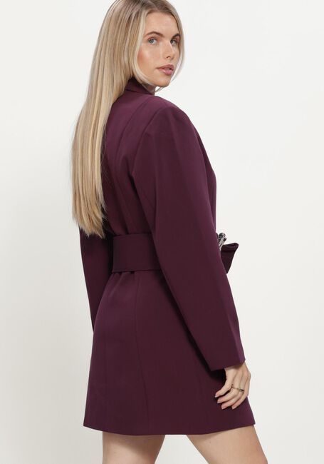 Plum FREEBIRD Mini jurk DILARIA - large