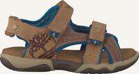 Bruine TIMBERLAND Platte sandalen PARK HOPPER L/F 2 STRAP KIDS - medium