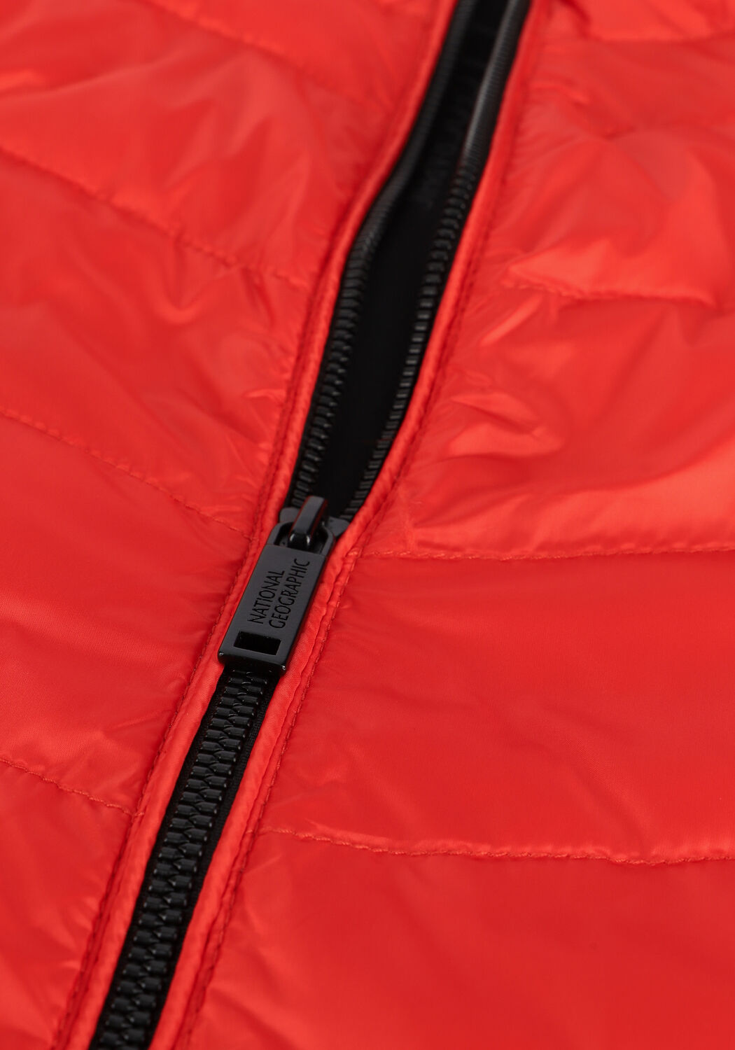 Rode NATIONAL GEOGRAPHIC Gewatteerde jas JACKET WITH FILLER - large