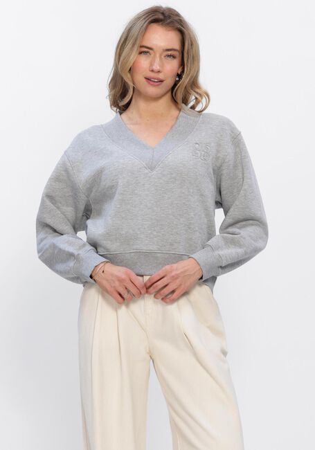Grijze DANTE6 Sweater NOX CROPPED V-NECK SWEATER - large