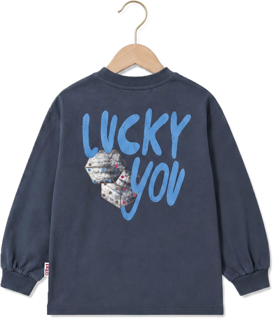 THE NEW CHAPTER Jongens Polo's & T-shirts Lou Longsleeve Donkerblauw