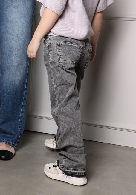 Grijze RAIZZED Straight leg jeans SYDNEY - large