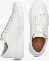 Witte BLACKSTONE Lage sneakers LYRA - medium