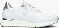 Witte GABOR Lage sneakers 448.1 - medium