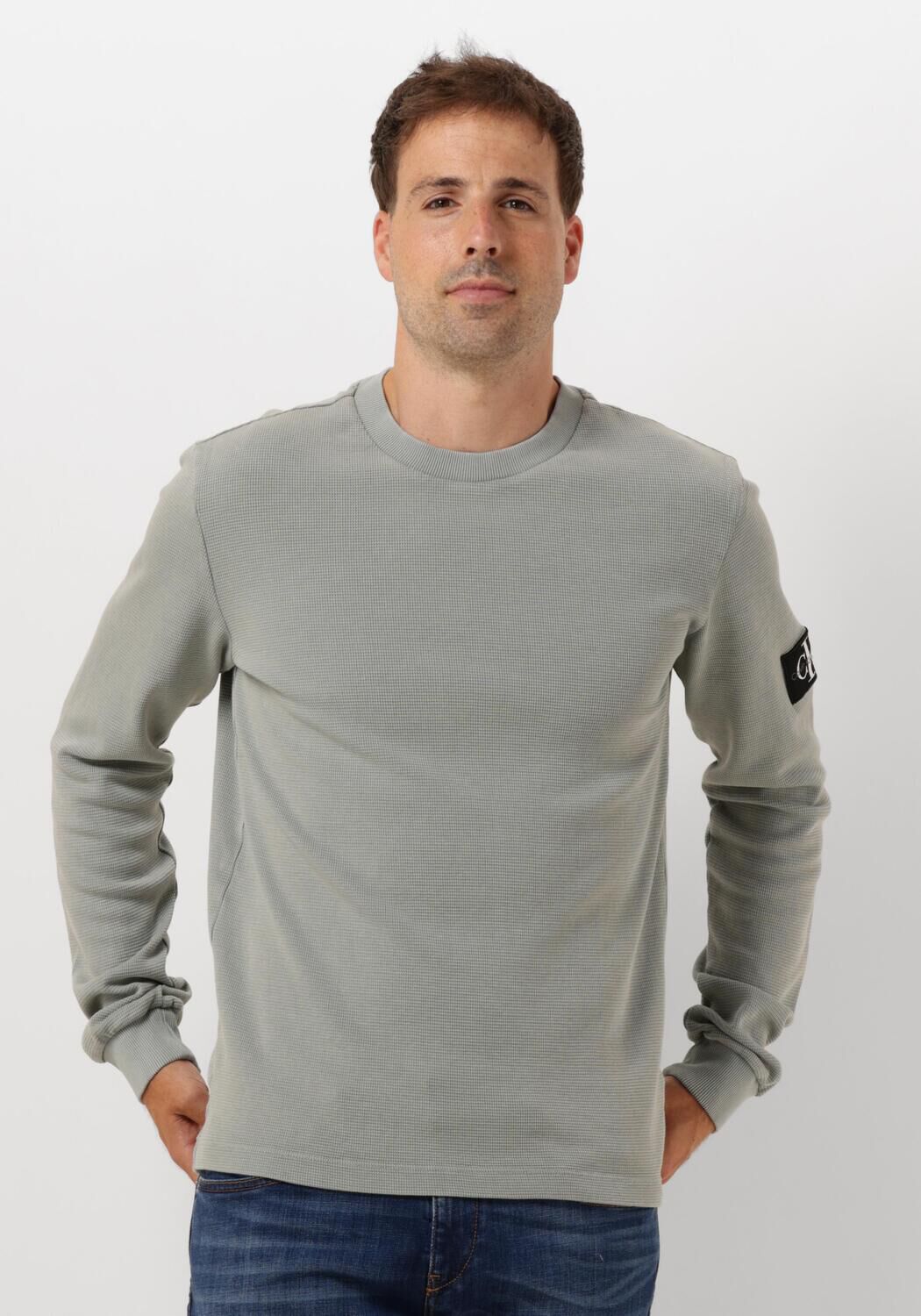 Calvin Klein Grijze Trui Katoen Reliëf Lange Mouw Gray Heren