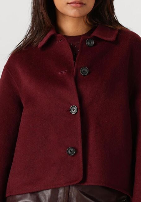 Bordeaux STUDIO AR Teddy jas NICOLINA - large