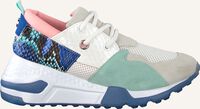 Multi STEVE MADDEN Lage sneakers CLIFF SNEAKER - medium