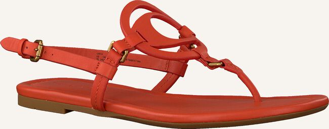 Oranje COACH Sandalen JERI LEATHER SANDAL Oranje COACH Sandalen JERI LEATHER SANDAL - large