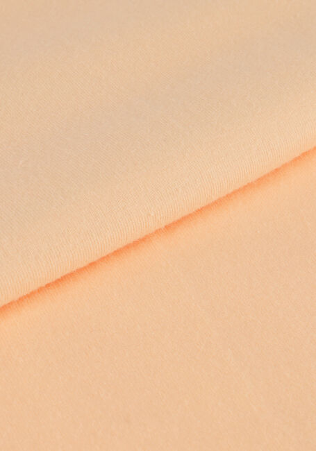 Oranje INDIAN BLUE JEANS T-shirt T-SHIRT IBJNS - large