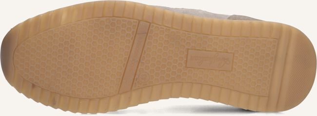 Taupe AUSTRALIAN Lage sneakers FILMON Taupe AUSTRALIAN Lage sneakers FILMON - large