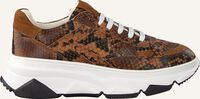 Cognac NOTRE-V Lage sneakers 608 - medium