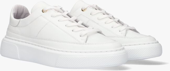 Witte TANGO Lage sneakers ALEX 17 - large