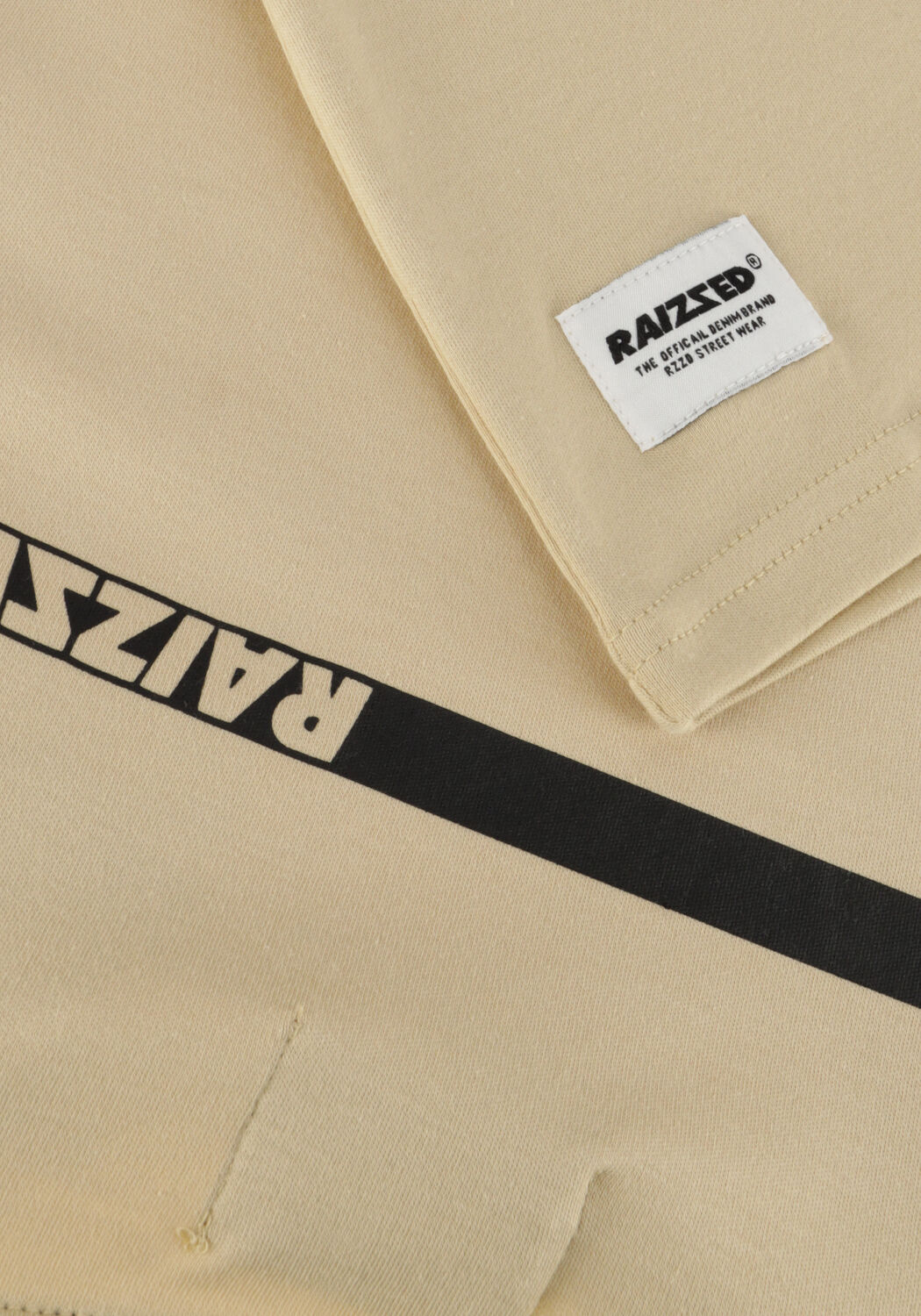 RAIZZED Jongens Polo's & T-shirts Bannu Beige