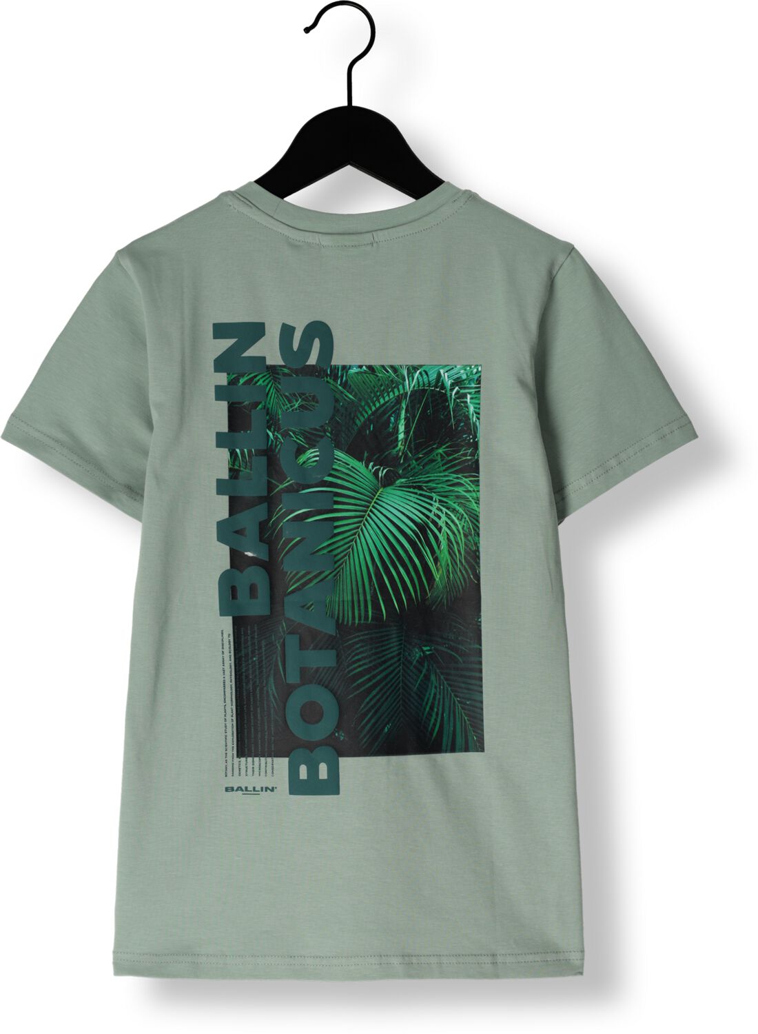 BALLIN Jongens Polo's & T-shirts 017108 Groen