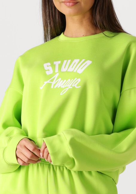 Groene STUDIO AMAYA Truien/vesten 261-ST6 - large