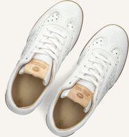 Witte FRED DE LA BRETONIERE Lage sneakers PEARL RAFFI Witte FRED DE LA BRETONIERE Lage sneakers PEARL RAFFI - medium