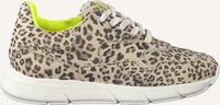 Beige PINOCCHIO Hoge sneakers P1253 - medium