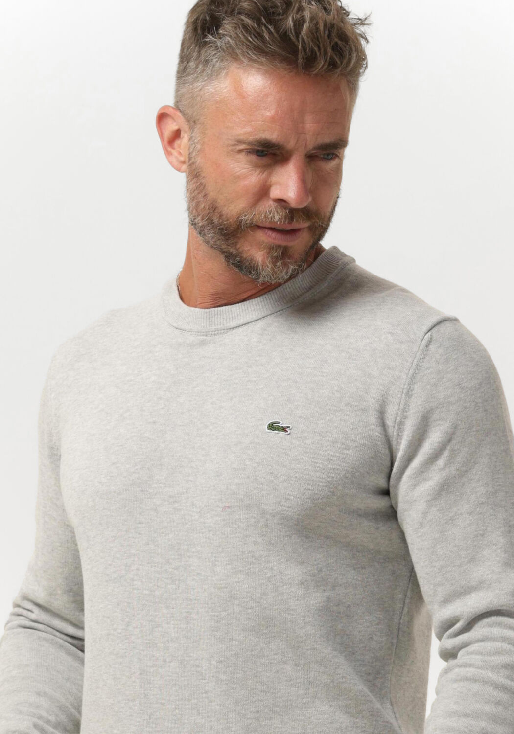 Lacoste sweater best sale grijs