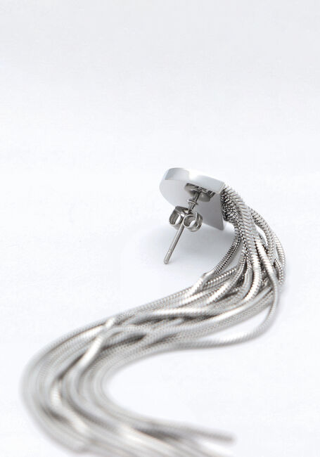 Zilverkleurig NOTRE-V Oorbellen EARRING LONG - large