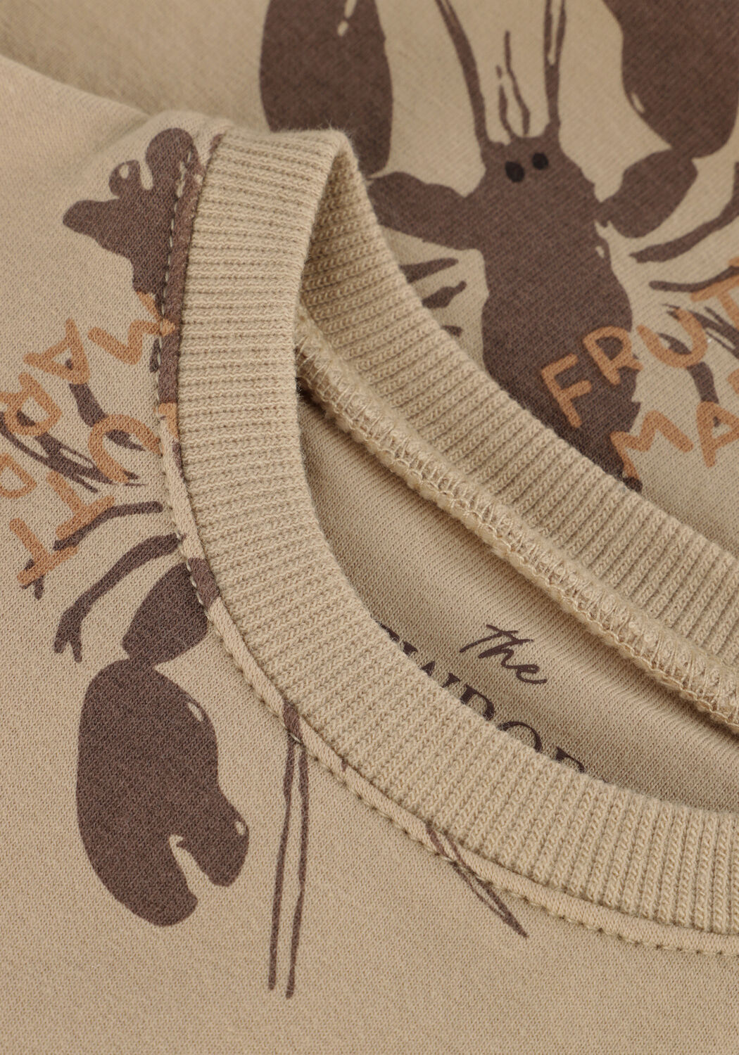 Beige Z8 Sweater FRANCO - large