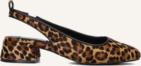 Bruine STEVE MADDEN Slingbacks SMITTEN-LP Bruine STEVE MADDEN Slingbacks SMITTEN-LP - medium