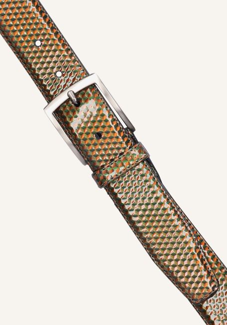 Groene FLORIS VAN BOMMEL Riem CFM-10059 DE BELTER Groene FLORIS VAN BOMMEL Riem CFM-10059 DE BELTER - large