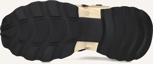 Groene STEVE MADDEN Lage sneakers TAZMANIA Groene STEVE MADDEN Lage sneakers TAZMANIA - large