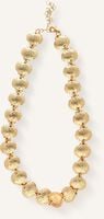 NOTRE-V NECKLACE SHELLS - medium