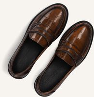 STEFANO LAURAN 12032 STEFANO LAURAN 12032 - medium