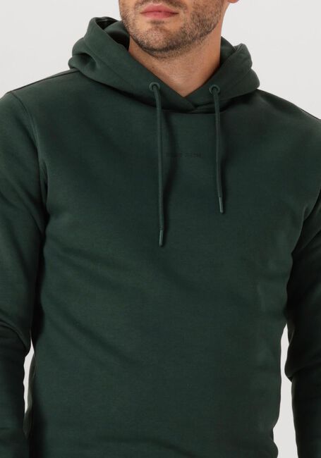Donkergroene PURE PATH Trui REGULAR FIT HOODIE LS SWEATERS - large
