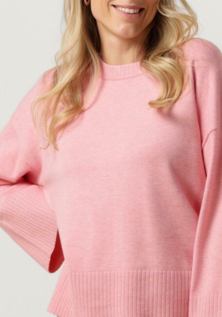 Roze MSCH COPENHAGEN Tops & T-shirts MSCHODANNA RACHELLE PULLOVER - large