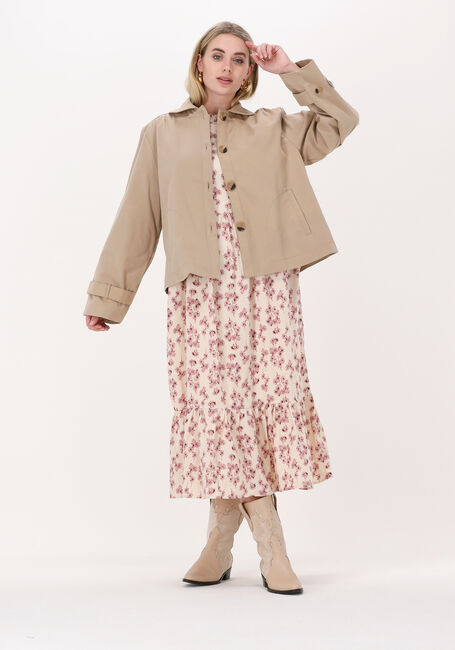 Zand LOLLYS LAUNDRY Jack VIOLA - large