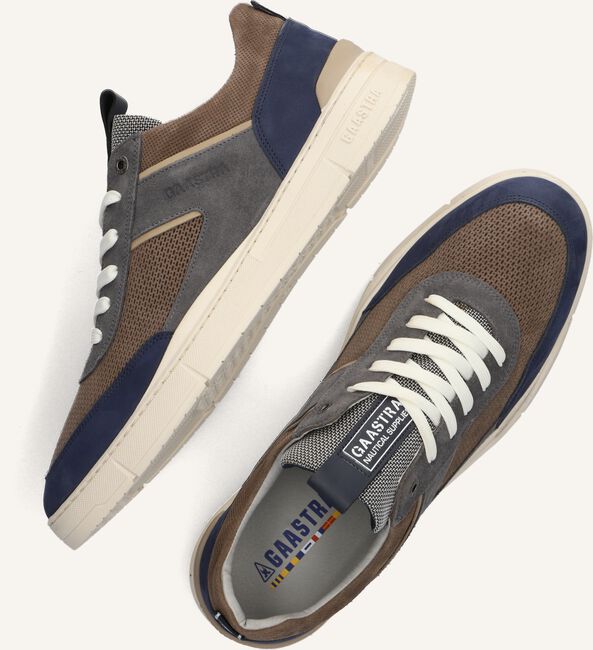 Taupe GAASTRA Lage sneakers BARRICK M Taupe GAASTRA Lage sneakers BARRICK M - large