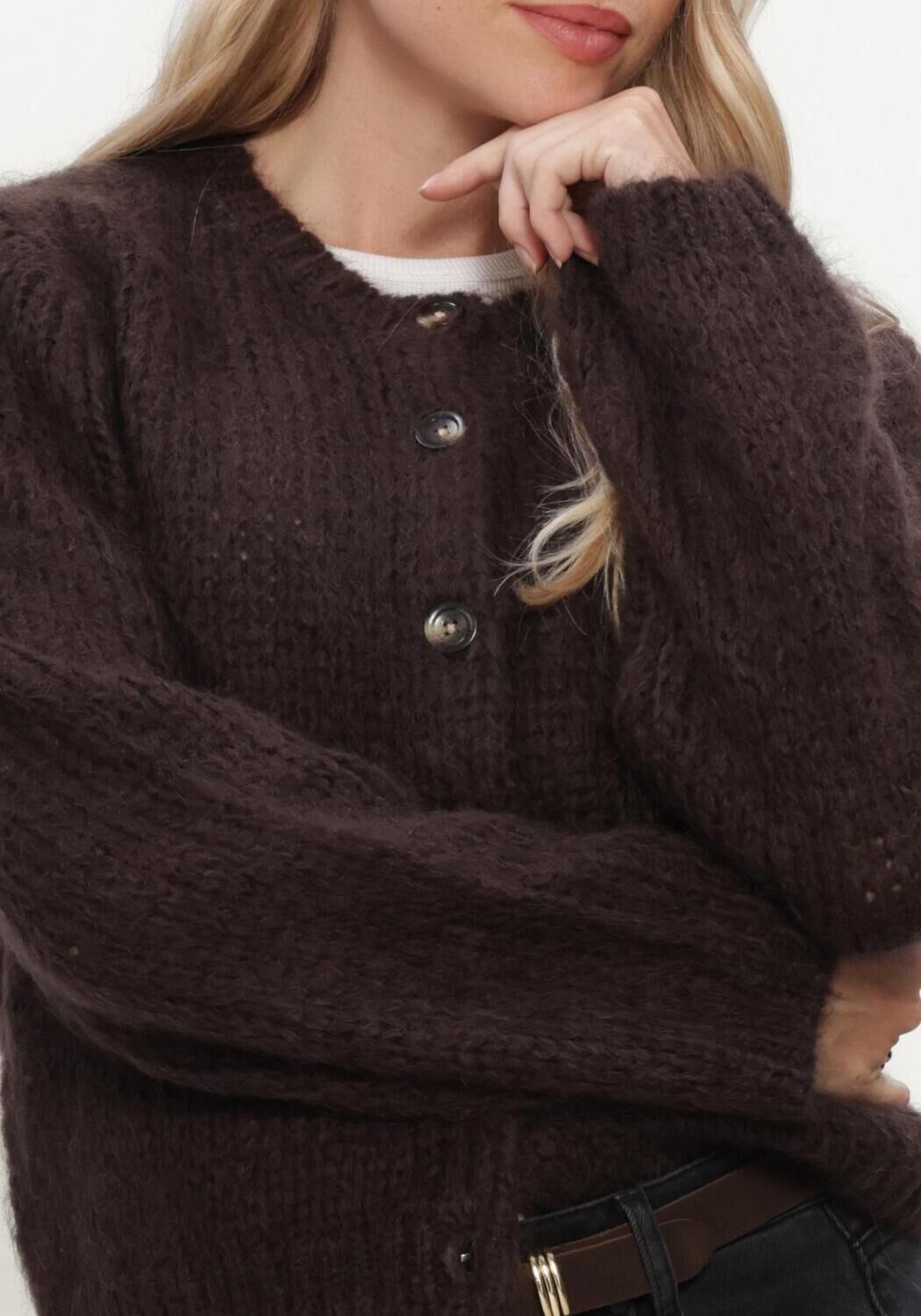 INWEAR Dames Truien & Vesten Jetraiw Cardigan Bruin