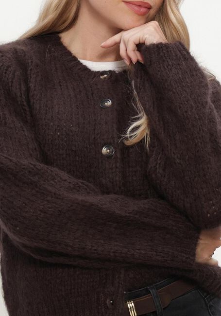 Bruine INWEAR Trui JETRAIW CARDIGAN - large