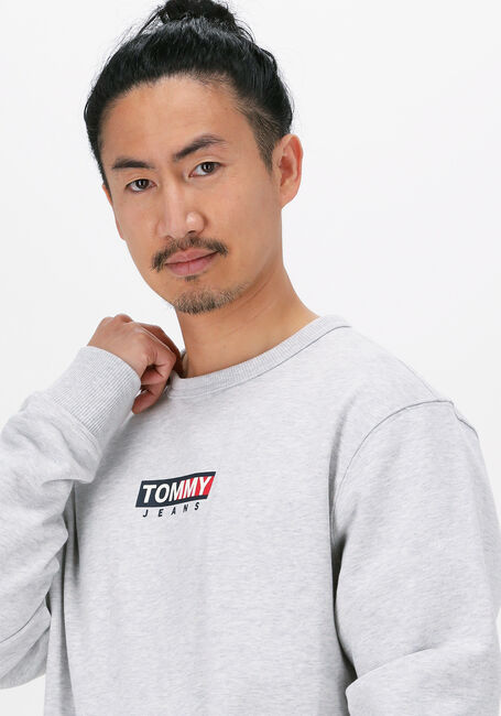 Lichtgrijze TOMMY JEANS Sweater TJM ENTRY GRAPHIC CREW - large